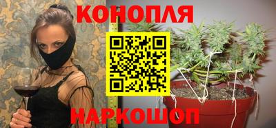 дмт Пугачёв