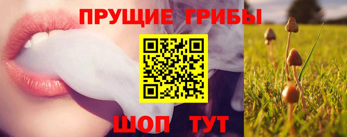 Мончегорск  Псилоцибиновые грибы MAGIC MUSHROOMS  Вход с VPN 